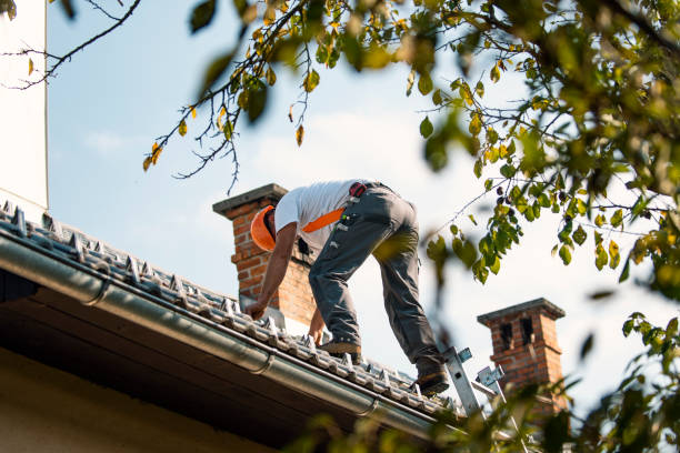 Best Metal Roofing Contractor  in Auburn, KY