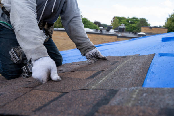 Best Emergency Roof Repair  in Auburn, KY