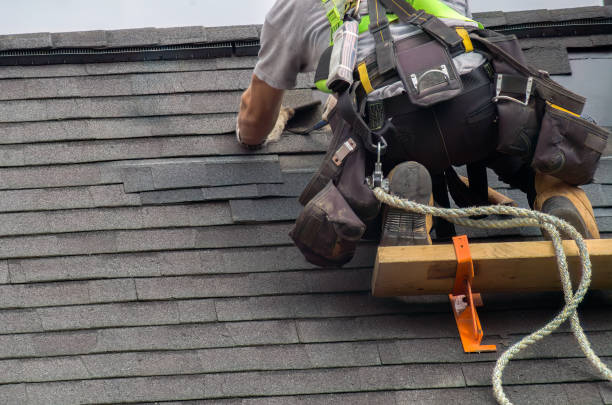 Best Storm Damage Roof Repair  in Auburn, KY