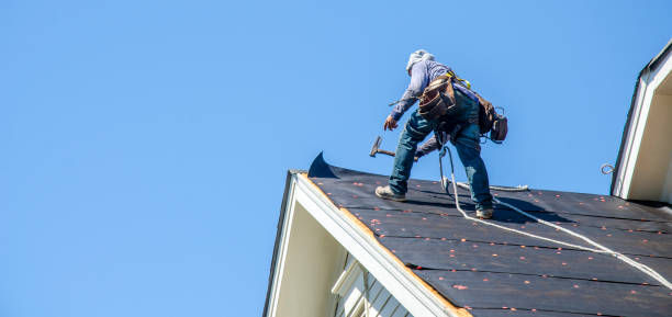 Best Roof Gutter Cleaning  in Auburn, KY
